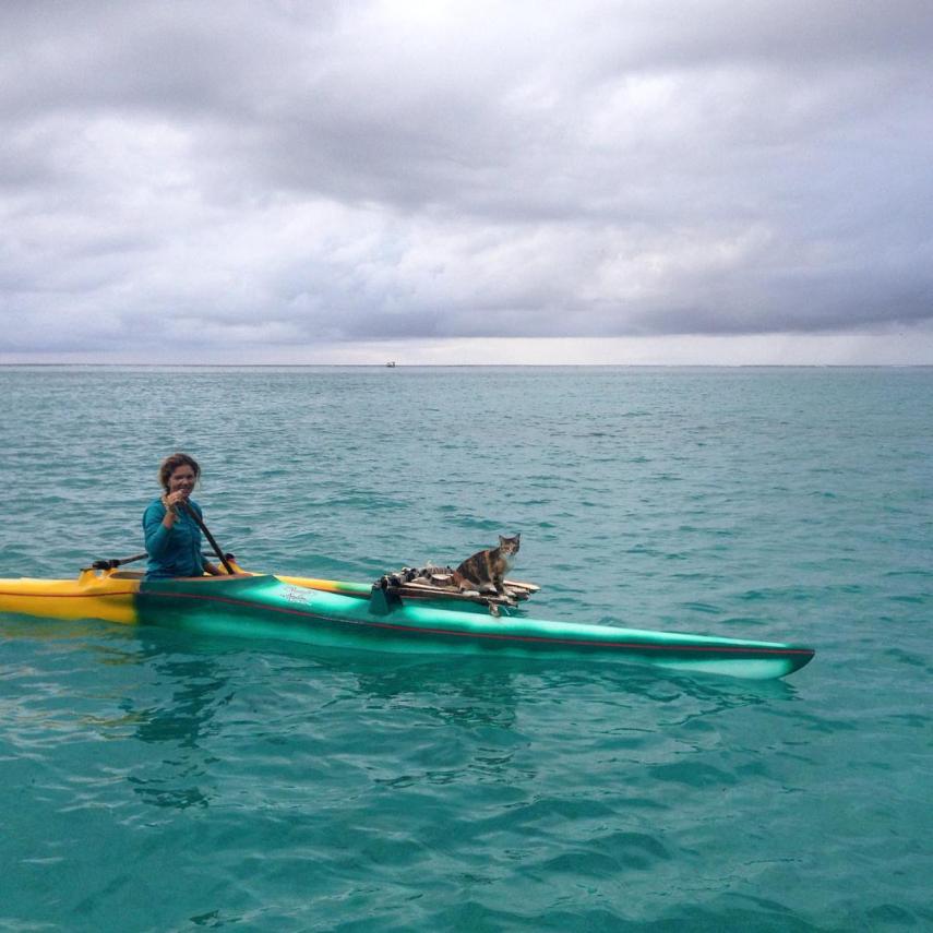 Liz Clarke viaja o mundo em seu barco com a companhia da gatinha Amelia. Fofura demais!