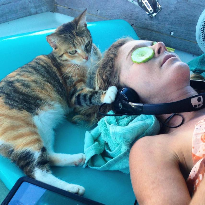 Liz Clarke viaja o mundo em seu barco com a companhia da gatinha Amelia. Fofura demais!