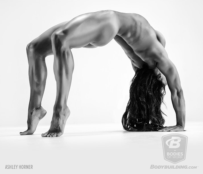 O site BodyBuilding.com fez uma série de três volumes do ensaio fotográfico intitulado Bodies of Work, que enaltece os resultados adquiridos por fisiculturistas. Usando poses extremas, a agência fotográfica LHGFX fez o registro dos atletas para este editorial.  