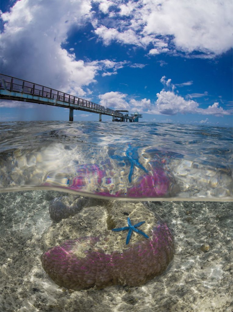 Com a popularização das câmeras de ação e equipamentos à prova d'água, as fotos semi-submersas se tornaram um fenômeno nas redes sociais, tanto entre profissionais quanto entre amadores. Se antigamente eram necessárias caixas estanque caríssimas para entrar com seu equipamento na água, hoje tudo isso é possível com câmeras compactas. A GoPro chegou a lançar o Dome, um equipamento que cria amplia o espaço entre a câmera e a água, dando uma perspectiva linda entre o mundo submerso e a vida fora da água. O site scubadiving.com fez uma compilação de 32 fotos semi-submersas incríveis.