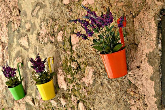 Plantar em locais públicos é proibido em vários países, mas as pessoas tem se organizado para levar mais cores às ruas. O que você acha da iniciativa?