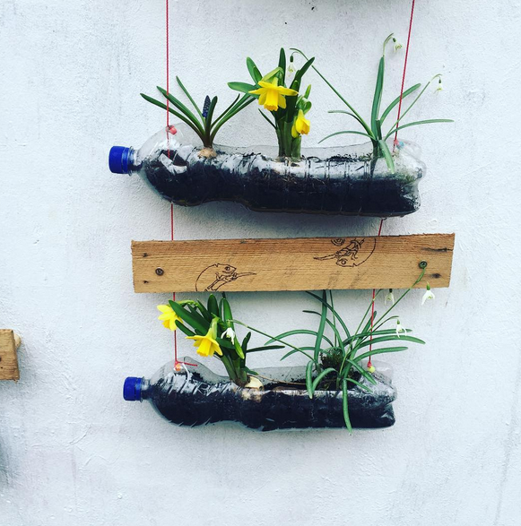 Plantar em locais públicos é proibido em vários países, mas as pessoas tem se organizado para levar mais cores às ruas. O que você acha da iniciativa?