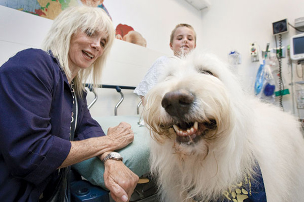 Em Ontário, Canadá, o hospital Juravinski permite que animais de estimação visitem seus donos/tutores que estão em estado grave.