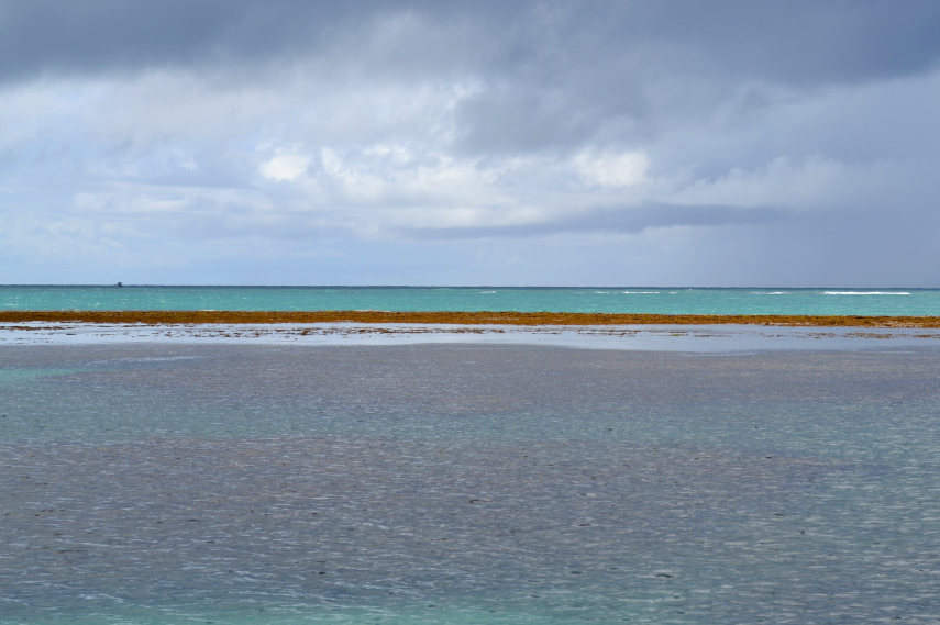 Águas mornas, cristalinas, de um verde intenso, convidam o turista ao banho de mar e até ao mergulho 