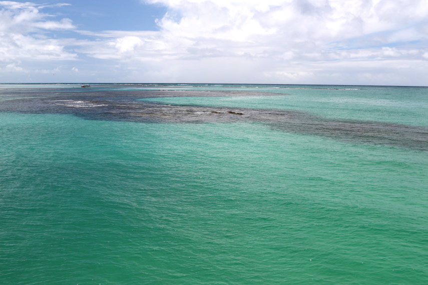 Águas mornas, cristalinas, de um verde intenso, convidam o turista ao banho de mar e até ao mergulho 