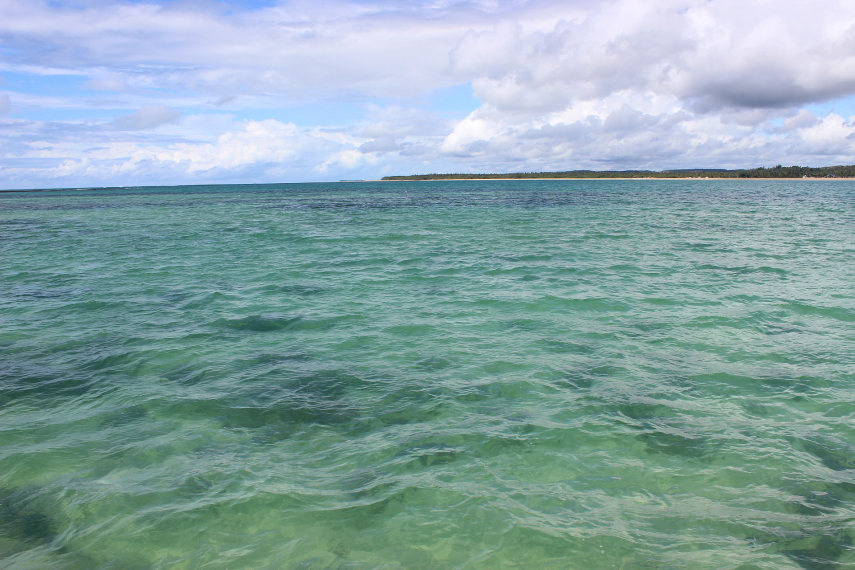 Águas mornas, cristalinas, de um verde intenso, convidam o turista ao banho de mar e até ao mergulho 