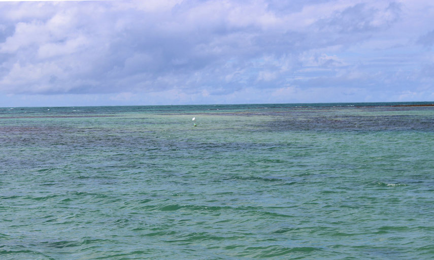 Águas mornas, cristalinas, de um verde intenso, convidam o turista ao banho de mar e até ao mergulho 