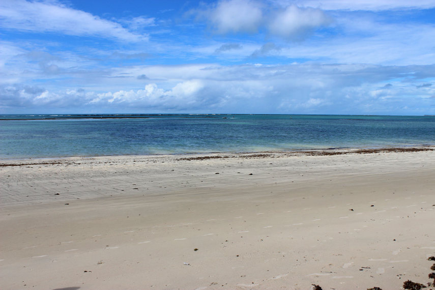 Em Tamandaré estão as praias mais desertas do litoral sul de Pernambuco, com mar calmo, areia branca e piscinas naturais.