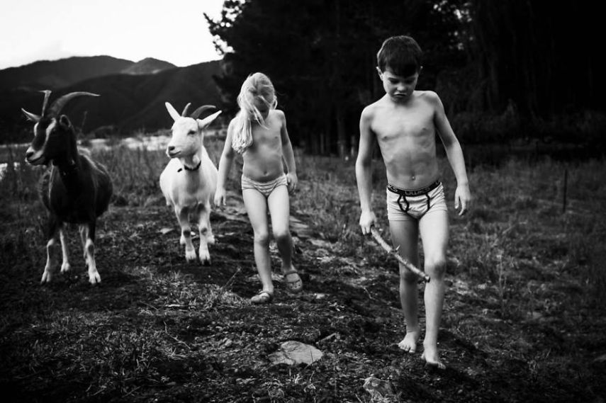 Fotógrafa registra a infância dos filhos perto de animais e da natureza