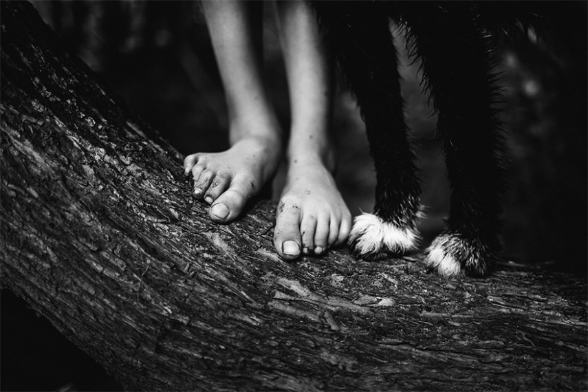 Fotógrafa registra a infância dos filhos perto de animais e da natureza