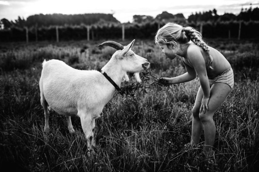 Fotógrafa registra a infância dos filhos perto de animais e da natureza