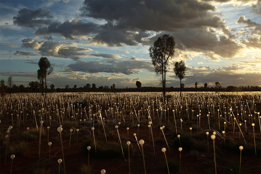 O britânico Bruce Munro espalhou 50 mil luzes por diferentes desertos e o resultado é sensacional