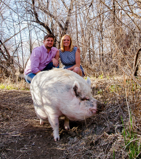 Com 115kg, Ziggy é o animal de estimação de  Kristin e Jay e estrelou o ensaio de noivado junto com o casal