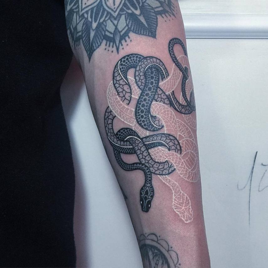 Tatuador italiano cria cobras perfeitas e transcende as tattoos tradicionais em preto e branco