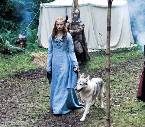 Sophie Turner (Sansa Stark) acabou adotando o cachorro que é o seu lobo no seriado.