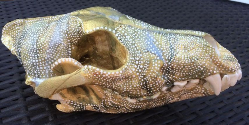 O projeto da arqueóloga Ash Sophia tem o objetivo honrar os animais