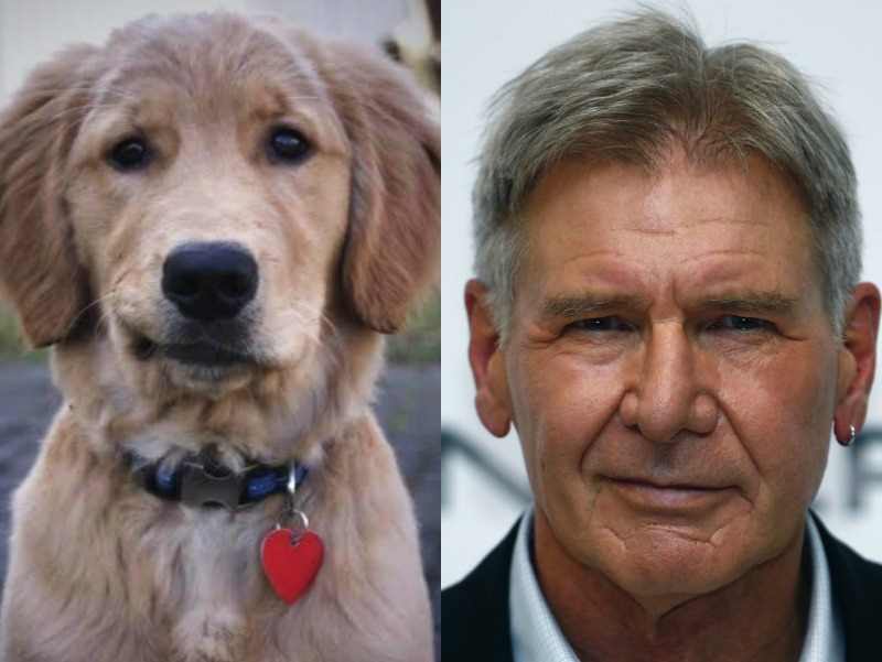 Bota um chapéu e lhe dê um chicote que ele se torna o próprio Indiana jones