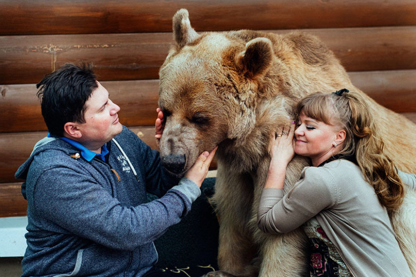 Há 23 anos, Svetlana e Yuriy Panteleenko adotaram o pequeno Stepan, um urso órfão de apenas três meses