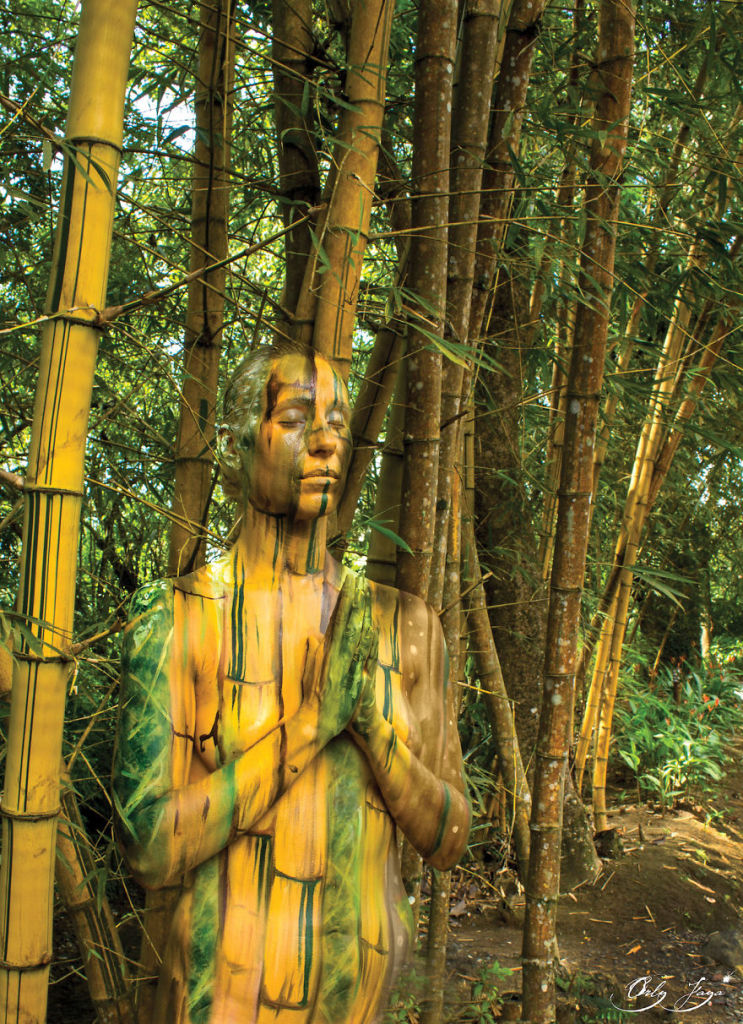 Artista 'camufla' modelos em meio a paisagem