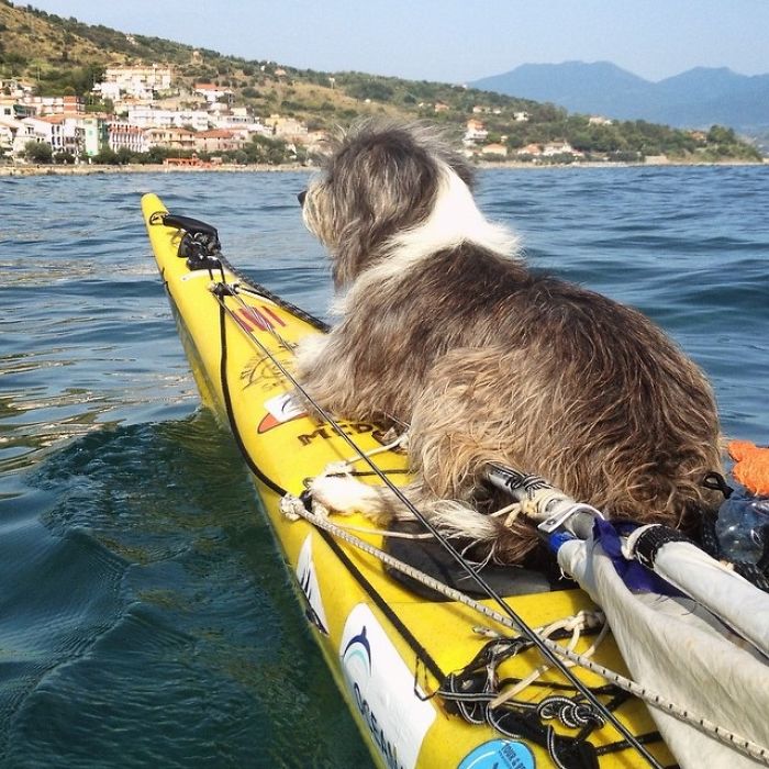 Sergi Basoli é de Barcelona, na Espanha, e resolveu largar seu emprego e sua casa para viajar de caiaque na companhia de sua cachorra, a simpática Nirvana