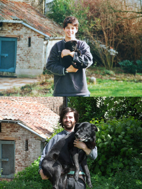 Donos recriam fotos com seus cachorros filhotes e já crescidos. O resultado é hilário!