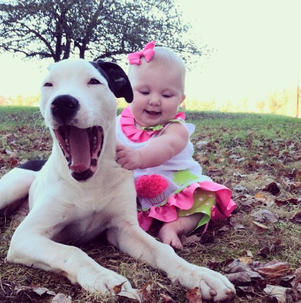 Na mesma época em que Eisleigh nasceu, sua pitbull Clyde também chegou à casa da família. Elas estão crescendo juntas e são a dupla mais fofa do dia