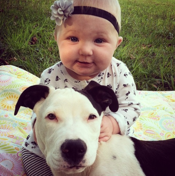 Na mesma época em que Eisleigh nasceu, sua pitbull Clyde também chegou à casa da família. Elas estão crescendo juntas e são a dupla mais fofa do dia