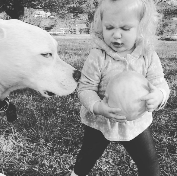 Na mesma época em que Eisleigh nasceu, sua pitbull Clyde também chegou à casa da família. Elas estão crescendo juntas e são a dupla mais fofa do dia