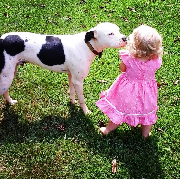 Na mesma época em que Eisleigh nasceu, sua pitbull Clyde também chegou à casa da família. Elas estão crescendo juntas e são a dupla mais fofa do dia