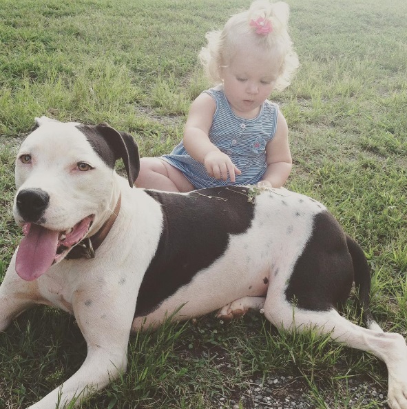 Na mesma época em que Eisleigh nasceu, sua pitbull Clyde também chegou à casa da família. Elas estão crescendo juntas e são a dupla mais fofa do dia