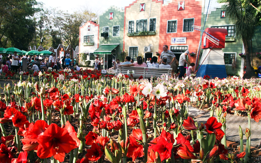 Um pedaço da Holanda no Brasil, o município que faz parte da região metropolitana de Campinas é um dos destinos mais apaixonantes do Estado. A cidade das flores encanta com suas casas coloridas, tranquilidade e clima europeu. A arquitetura, o artesanato e a gastronomia típicos nos leva para os Países Baixos.