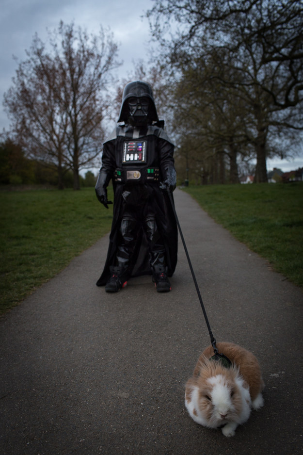 Pai registra as aventuras fofas do filho que se veste como mini Darth Vader