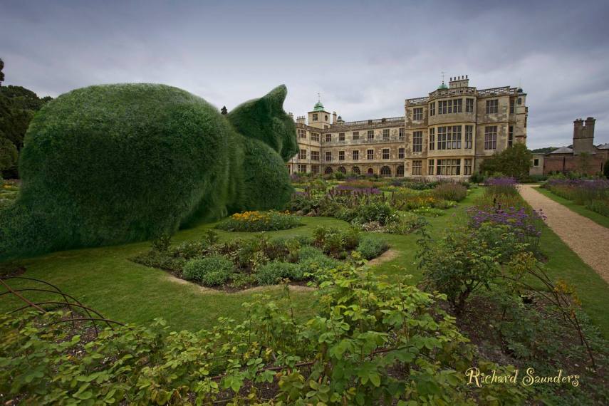 Artista inglês manipula imagens e coloca gato gigante em paisagens