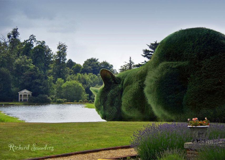 Artista inglês manipula imagens e coloca gato gigante em paisagens