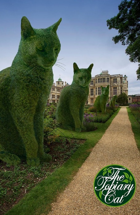Artista inglês manipula imagens e coloca gato gigante em paisagens