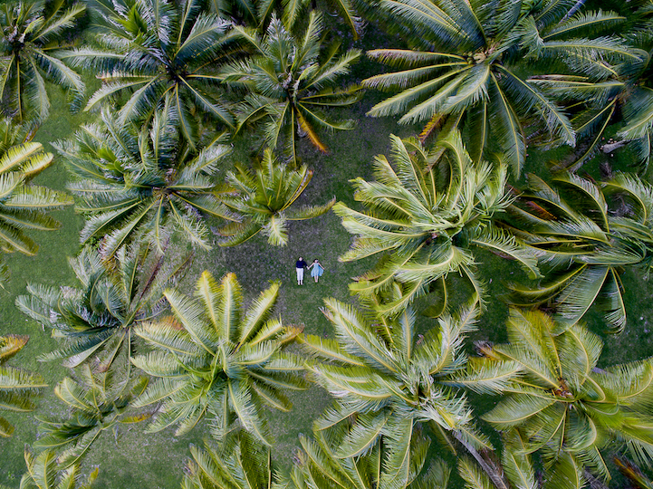 Sozinhos no mundo? Casais inovam e posam para fotos com drones