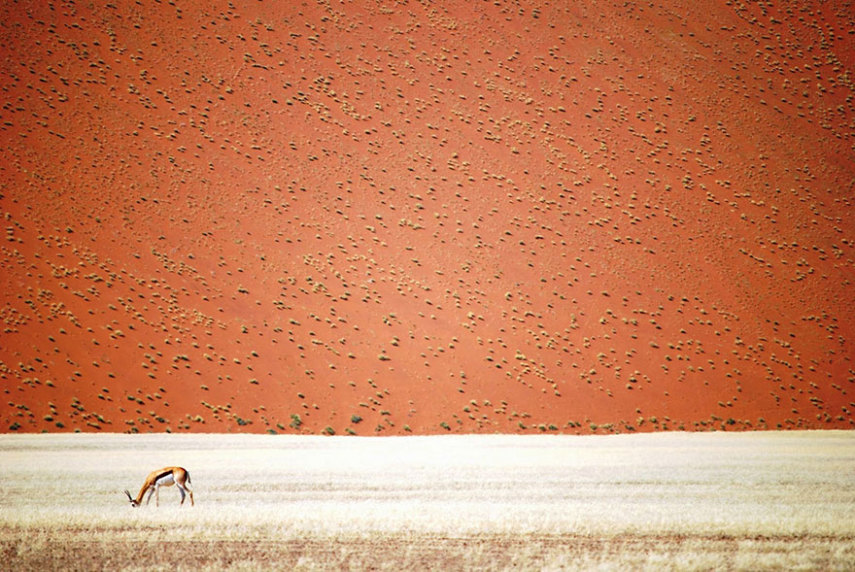 8) Deserto da Namíbia, na Namíbia