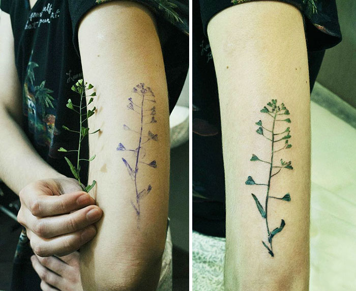 A tatuadora ucraniana Rita “Rit Kit” Zolotukhina aproveita folhas de verdade na hora de fazer o stencil, por isso que a tatuagem fica tão real. Demais, né?