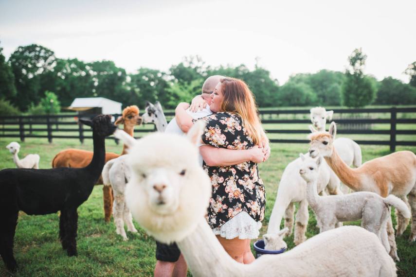 O fotógrafo John Myers foi contratado por Kevin Scanlon para registrar um pedido de casamento surpresa no Tennessee, nos Estados Unidos, mas foi surpreendido por uma alpaca que fez o famoso 