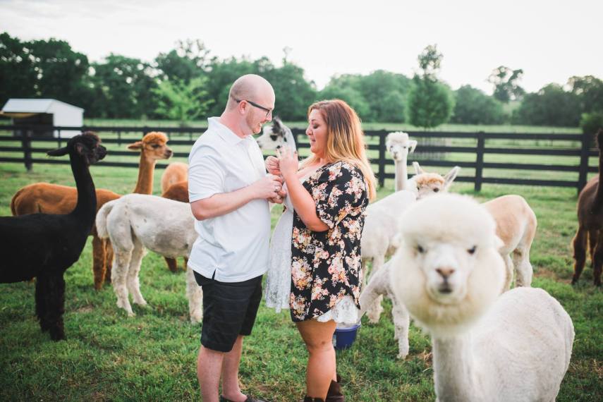 O fotógrafo John Myers foi contratado por Kevin Scanlon para registrar um pedido de casamento surpresa no Tennessee, nos Estados Unidos, mas foi surpreendido por uma alpaca que fez o famoso 