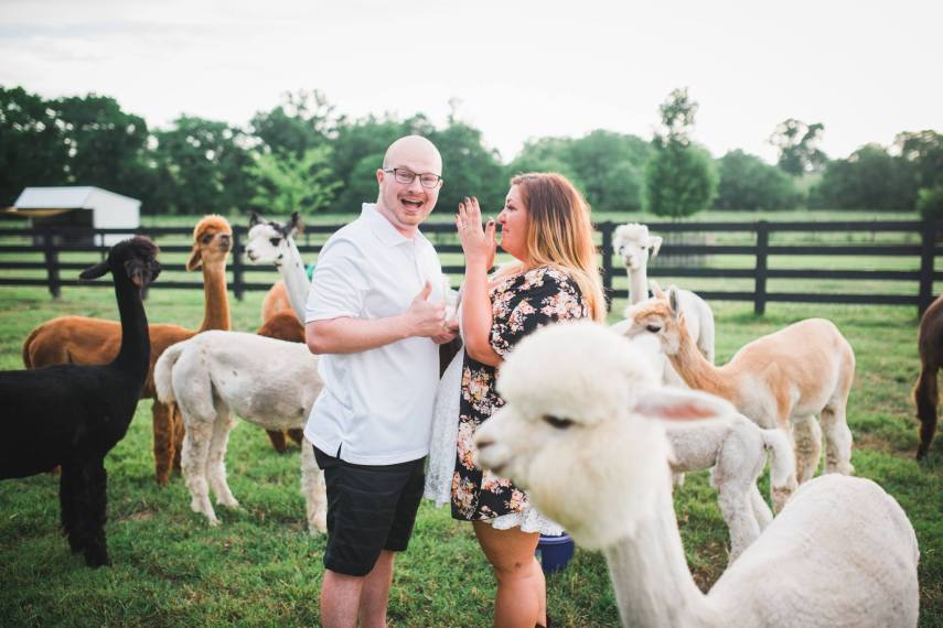 O fotógrafo John Myers foi contratado por Kevin Scanlon para registrar um pedido de casamento surpresa no Tennessee, nos Estados Unidos, mas foi surpreendido por uma alpaca que fez o famoso 