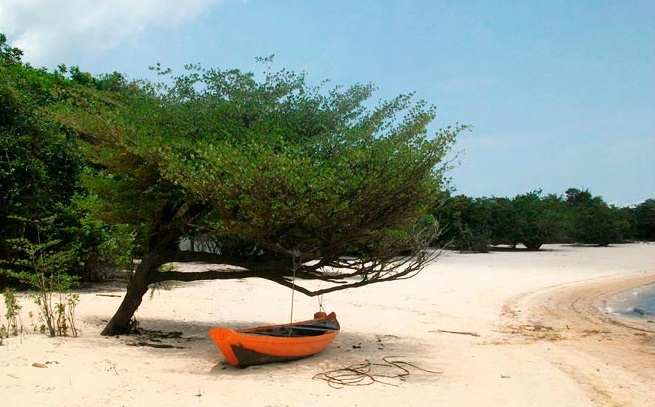 Alter do Chão, às margens do rio Tapajós, no oeste do Pará, próximo a Santarém. A região é conhecida como Caribe Amazônico. As águas são cristalinas e tem floresta para todo lado. De julho a janeiro chove menos na região