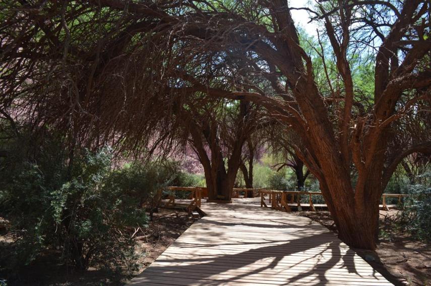 O parque fica na província de La Rioja, na Argentina