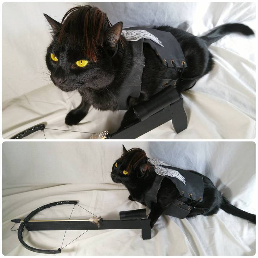 Já não é de hoje a moda de fazer cosplay. Mas agora até os bichinhos de estimação entraram na parada. O tumblr Cat Cosplay se especializou em reunir cosplayers que começaram a fazer fantasias para seus gatos, como Kat, do Instagram @timeywimeyjedi, e Nathan Smith, que chegou a dar uma entrevista ao jornal Daily Mail. As fantasias de Nathan, incluindo a de Jon Snow de Game of Thrones, demoram em média dez horas para ficarem prontas.