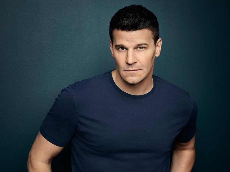 Na série 'Bones', da qual era protagonista, Boreanaz foi alvo de uma acusação vinda de uma figurante, Kristina Hagan, que afirmou que o ator havia lhe prometido um papel melhor na série para, logo em seguida, passar a lhe enviar mensagens e fotos com conteúdo abusivo, até o assédio se tornar físico, quando, sob pressão, a jovem topou encontrá-lo. 