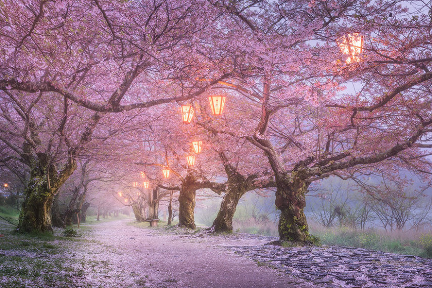 Em Osaka, dias chuvosos podem ser muito mais interessantes do que você imagina. Além das áreas de lazer, os bares e lojas da segunda maior cidade do Japão, o parque Shinsaibashi-suji é uma ótima parada para quando o tempo estiver ruim. O caminho é totalmente coberto por cerejeiras, que pintam o chão de rosa e criam um teto natural que impede a chuva de passar