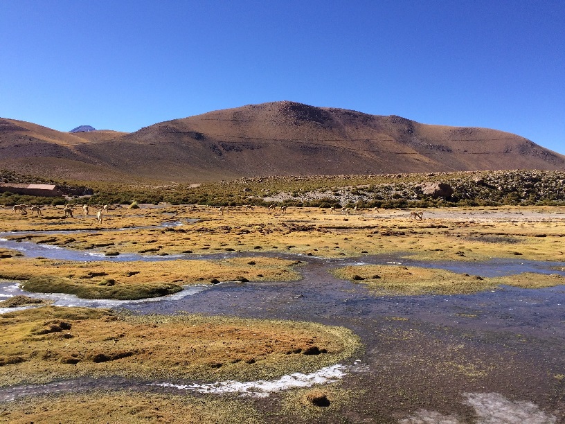 Gêiseres de Tatio: o local fica a 4.300m de altitude e, no inverno, as temperaturas chegam a -20ºC. Na foto, um pequeno lago congelado pelo caminho