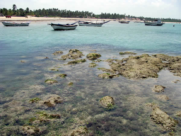 A 220 km de Fortaleza, Icaraí de Amontada, no Ceará, ainda segue pouco explorada e praticamente intocada. Para quem quer se desligar do mundo, praticar kite-surf, por exemplo, é o lugar ideal