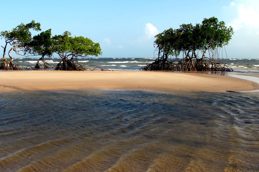 A ilha do Marajó fica no Pará, na foz do rio Amazonas no arquipélago do Marajó. É a maior ilha do Brasil e também a maior ilha fluviomarítima do mundo. Além disso, é o lugar com maior rebanho de búfalos do Brasil. Você ainda pode ver os vestígios do passado de civilização pré-colombiana