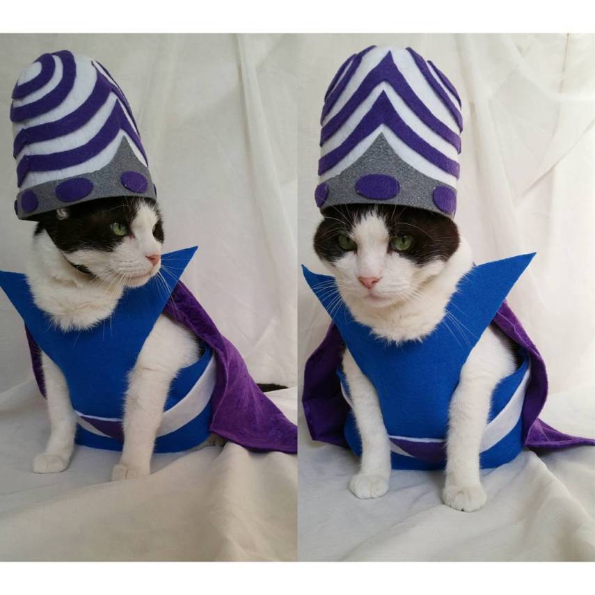 Já não é de hoje a moda de fazer cosplay. Mas agora até os bichinhos de estimação entraram na parada. O tumblr Cat Cosplay se especializou em reunir cosplayers que começaram a fazer fantasias para seus gatos, como Kat, do Instagram @timeywimeyjedi, e Nathan Smith, que chegou a dar uma entrevista ao jornal Daily Mail. As fantasias de Nathan, incluindo a de Jon Snow de Game of Thrones, demoram em média dez horas para ficarem prontas.